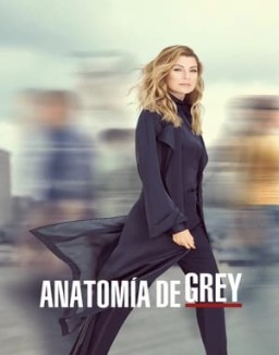 Anatomía de Grey temporada  16 online