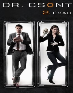 Bones temporada  2 online