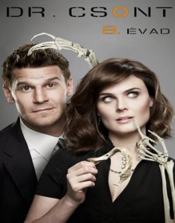 Bones temporada  8 online