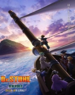 Dr. Stone