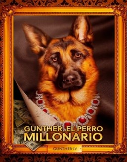 Gunther, el perro millonario stream