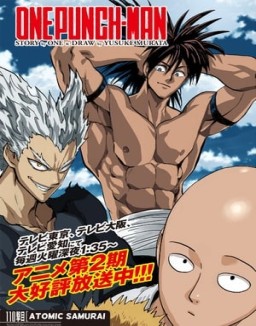 One Punch Man online