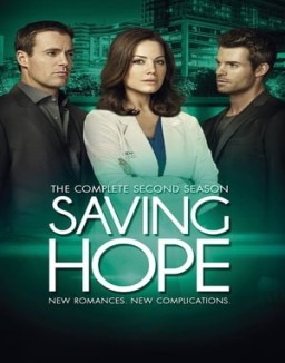 Saving Hope temporada  2 online