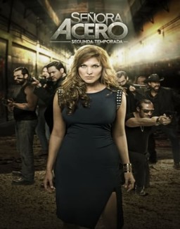 Señora Acero temporada  1 online