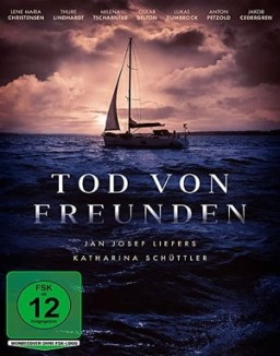 Tod von Freunden online